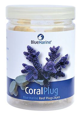Blue Marine - Support de Bouturage de Coraux Coral Plug - 244 pcs