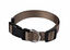 Animalis - Collier Basic Taupe pour Chien - 12mm et 23/30cm Indicateur image numéro 1