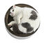 Leeby - Griffoir Funny en Carton Feuilles pour Chats - 40cm Indicateur image numéro 7