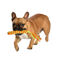 Bobby - Jouet Scouby Orange pour Chiens - S Indicateur image numéro 3