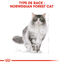 Royal Canin - Croquettes Norwegian Adult pour Chat - 2Kg Indicateur image numéro 2