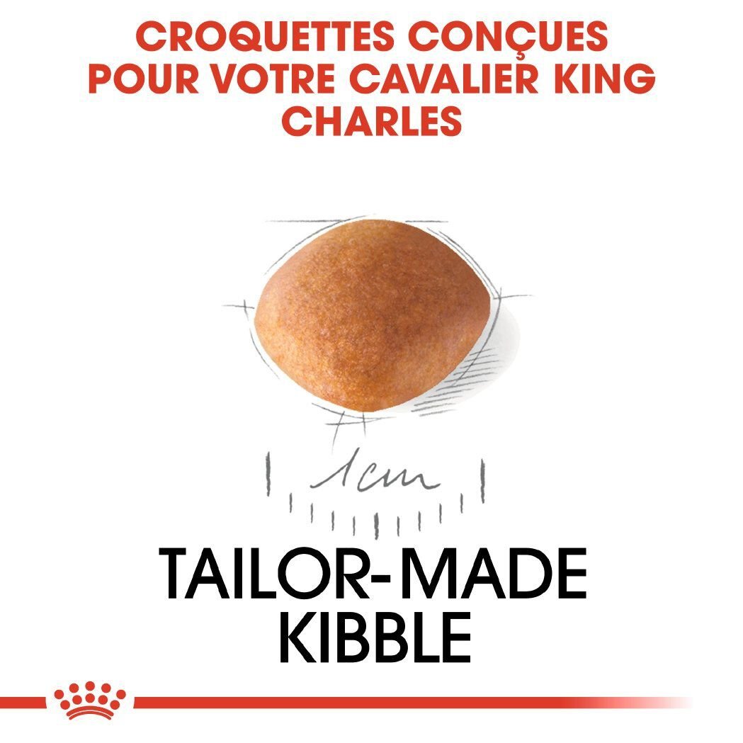 Royal Canin - Croquettes Cavalier King Charles Junior pour Chiot - 1,5Kg Image num&eacute;ro 4