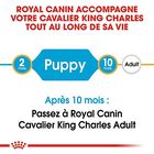 Royal Canin - Croquettes Cavalier King Charles Junior pour Chiot - 1,5Kg image number null