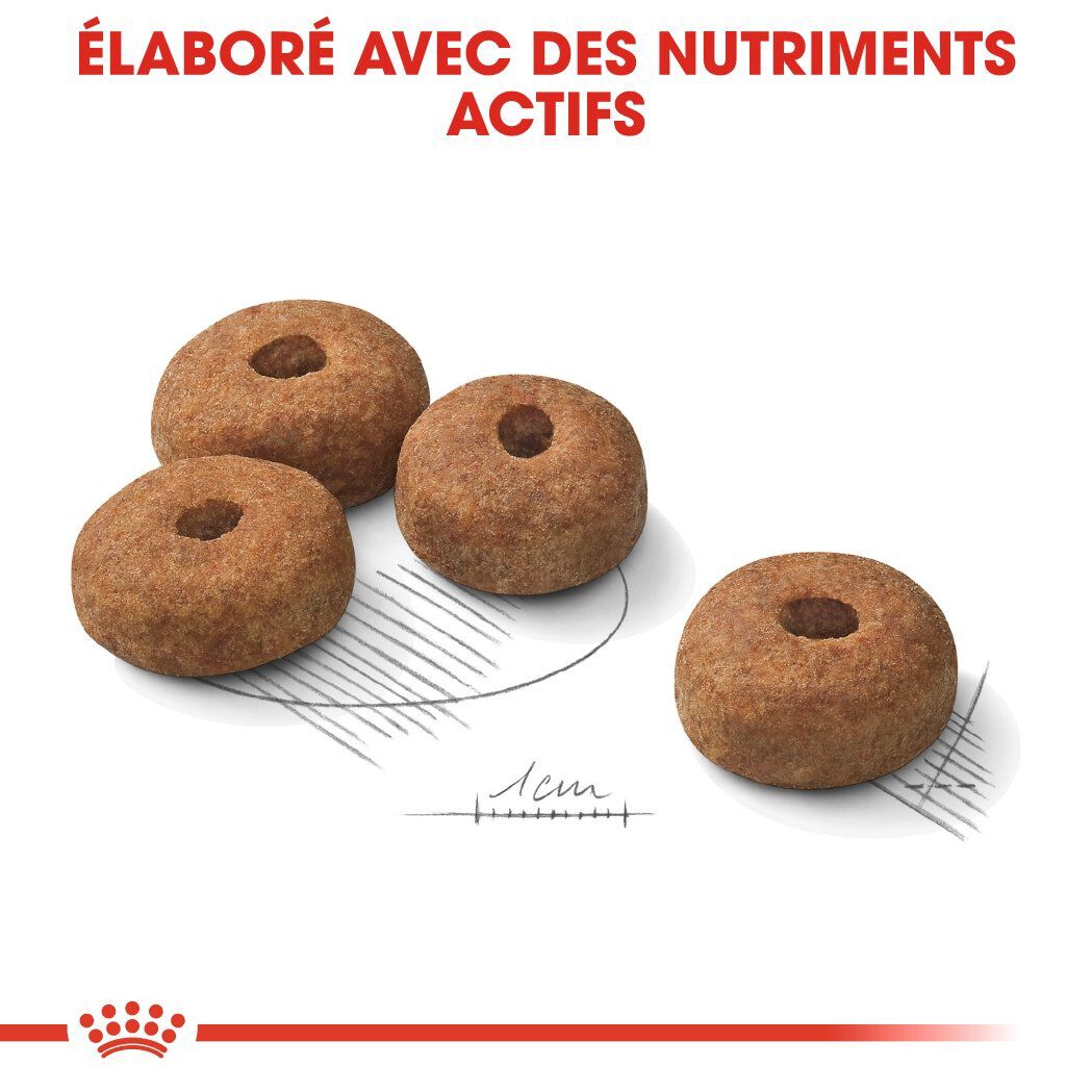 Royal Canin - Croquettes Maxi Sterilised pour Chien Adulte St&eacute;rilis&eacute; - 3Kg Image num&eacute;ro 5