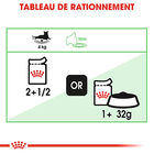 Royal Canin - Sachets Digestive Care sauce pour Chat - 12x85g image number null