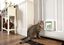 Sure Petcare - SureFlap chatière 4 positions avec puce d'ident. blanc - 21 x 21 cm Indicateur image numéro 4