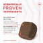Royal Canin - Aliment complémentaire Adult Joint & Agieing Chews pour Chiens - 240g Indicateur image numéro 5
