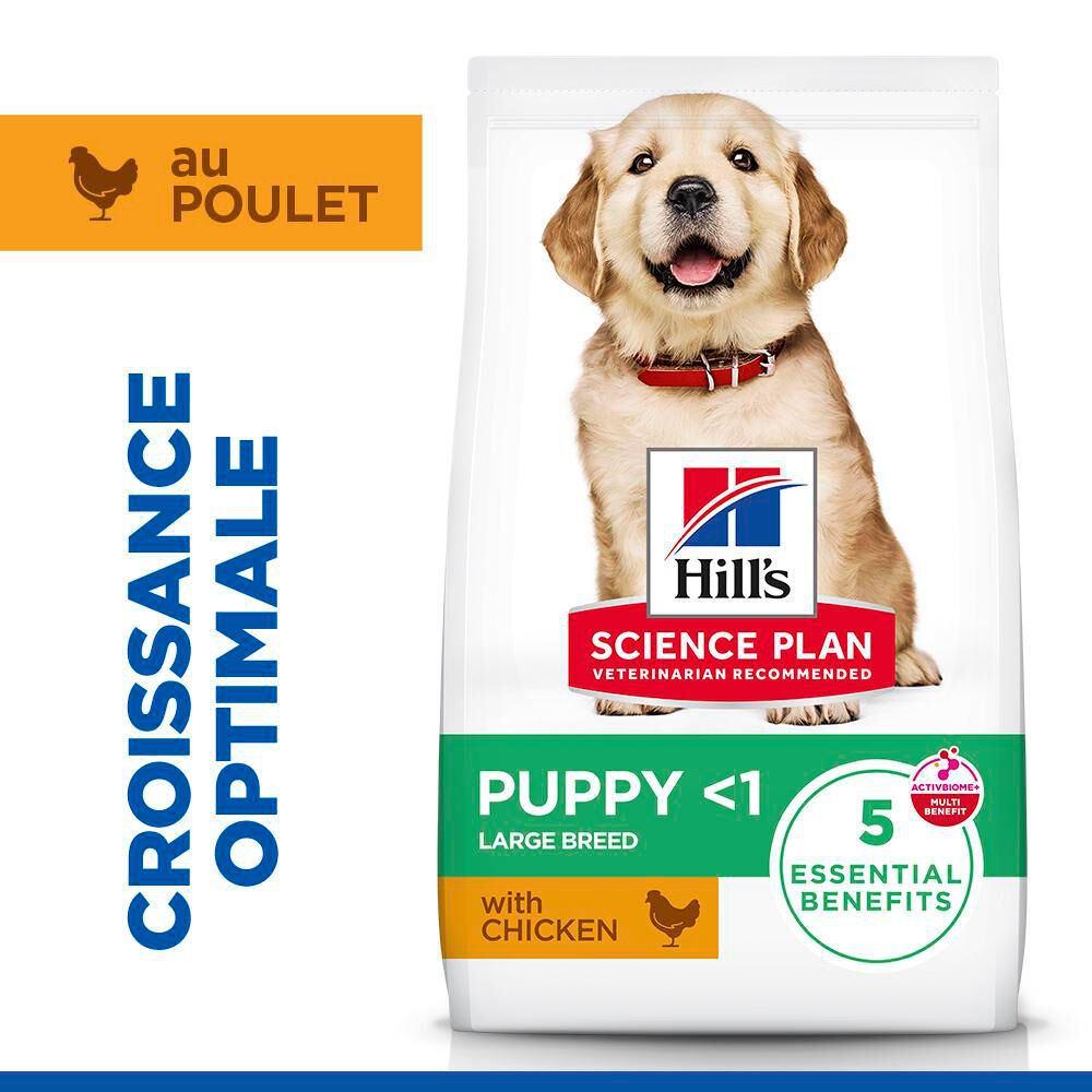 Hill's Science Plan - Puppy Croquettes Pour Chiot De Grande Taille Au Poulet  - 12kg Image num&eacute;ro 3