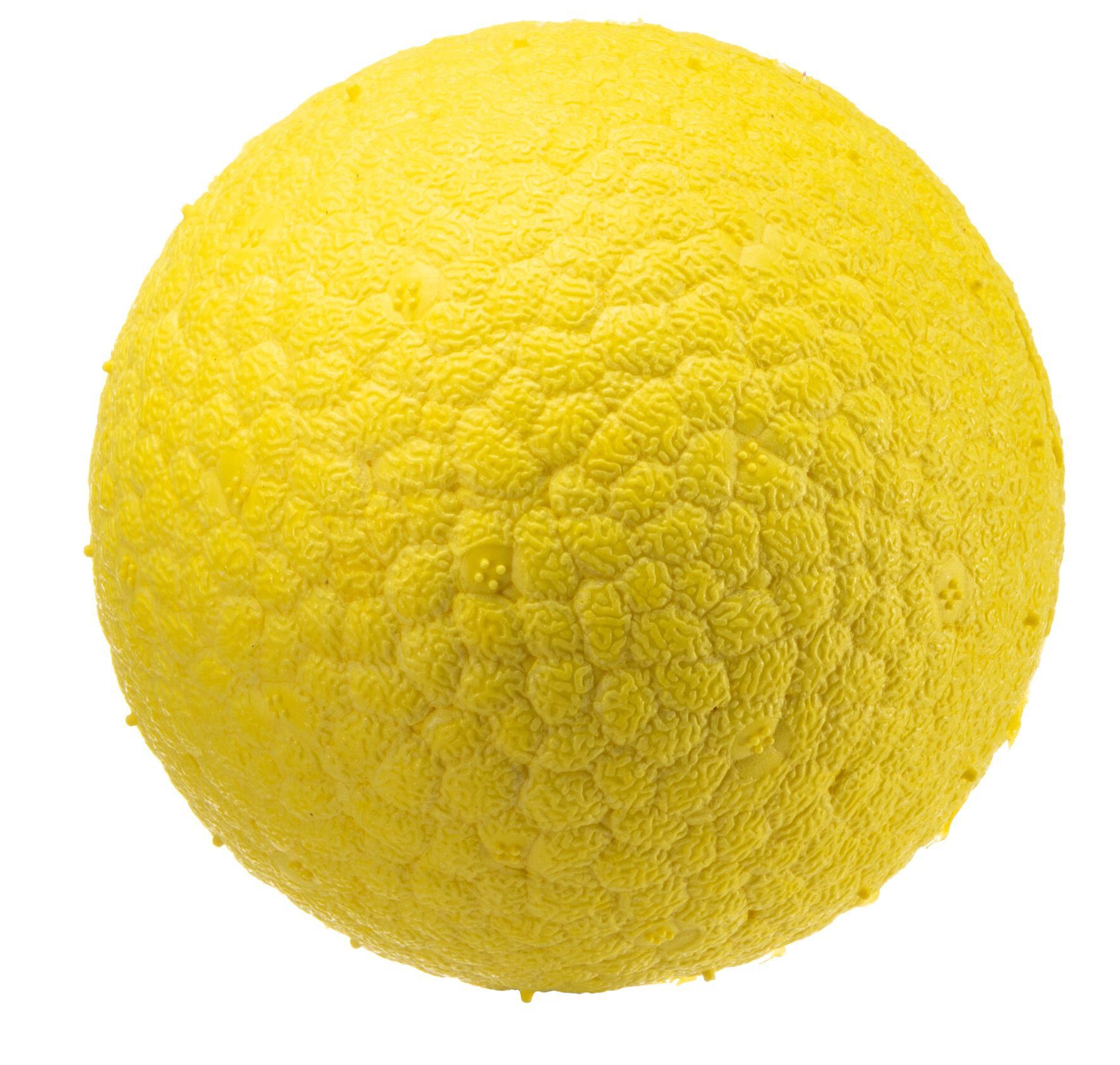 Ferplast - Balle Chewa Boing Jaune pour Chiens - M Image num&eacute;ro 1