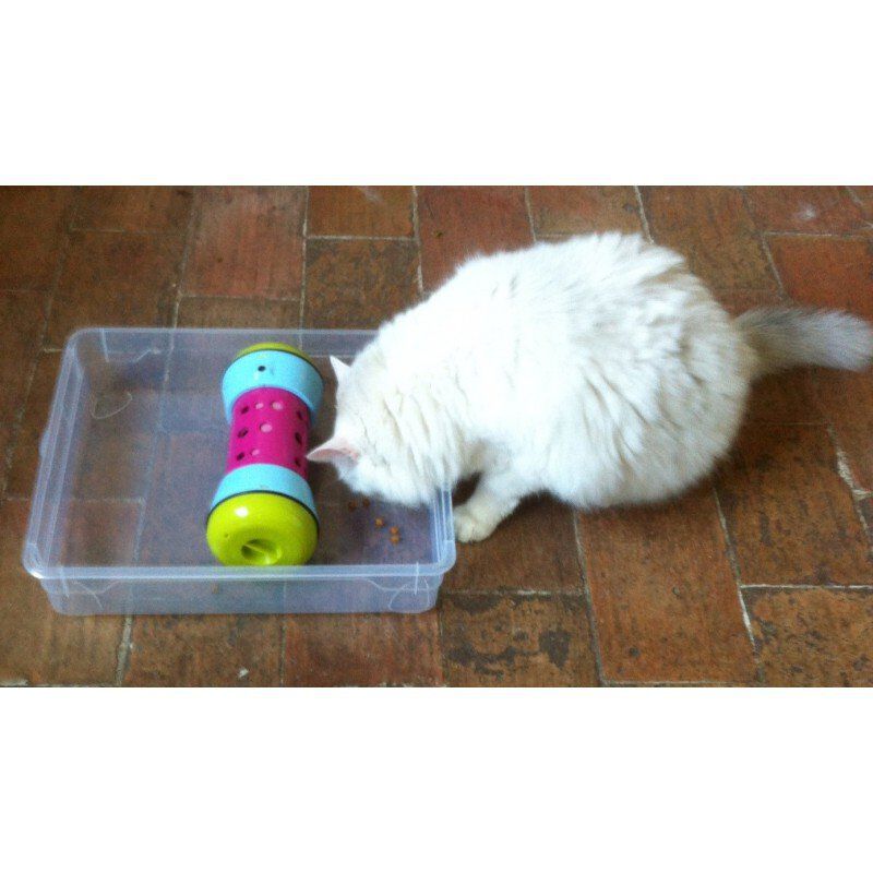 Pipolino - Jouet Distributeur de Croquettes PIPOLINO M pour Chats - Tricolore Image num&eacute;ro 4