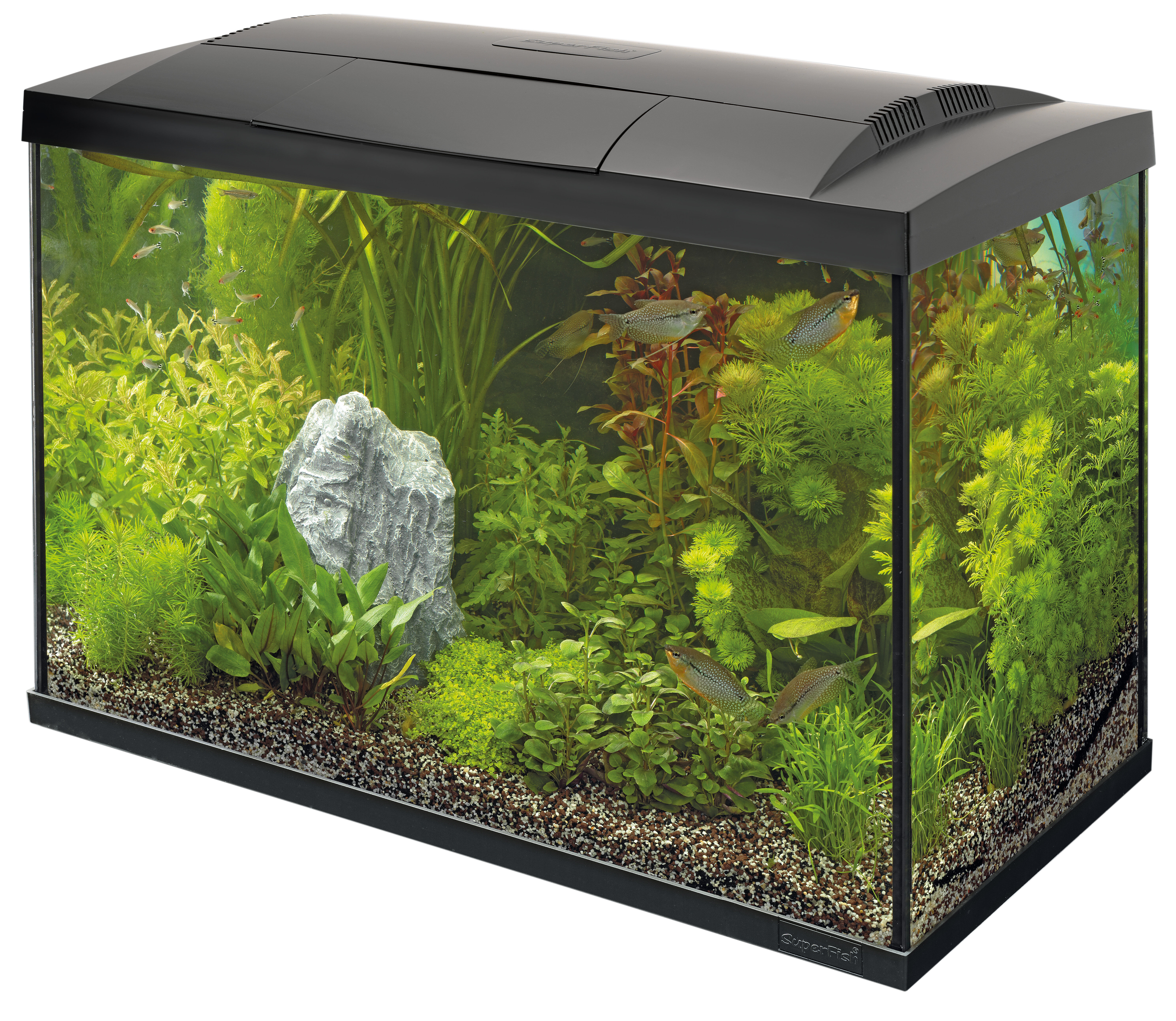 Superfish - Aquarium Start 70 Tropical Kit - Noir Image num&eacute;ro 2
