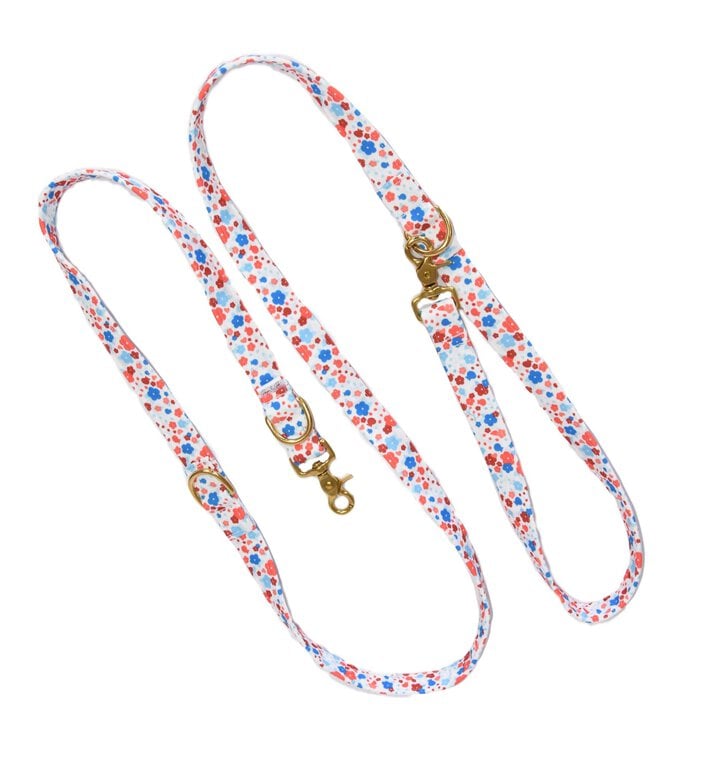 Pompon&Pets - Laisse Spring Multifonction pour Chiens - 2M Image numéro 1 Pompon&Pets - Laisse Spring Multifonction pour Chiens - 2M Image numéro 1