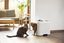 Rotho MyPet - Maison de Toilette Biala pour Chat - Blanc Indicateur image numéro 7