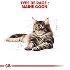 Royal Canin - Croquettes Maine Coon pour Chat Adulte - 4Kg image number null