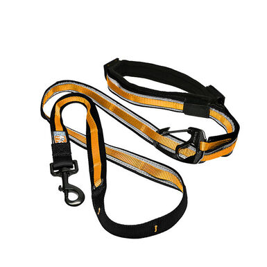 Kurgo - Laisse Main Libre "Quantum" pour Chiens