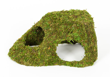 Reptizoo - Décor Dôme Mousse Naturelle - 25,5x14x11cm