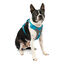 Kurgo - Harnais "Journey Air" Bleu pour Chiens - L Indicateur image numéro 5