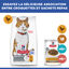 Hill's Science Plan -  Sterilised Cat Croquettes Pour Chat St&eacute;rilis&eacute; Au Poulet -  3kg Indicateur image num&eacute;ro 13