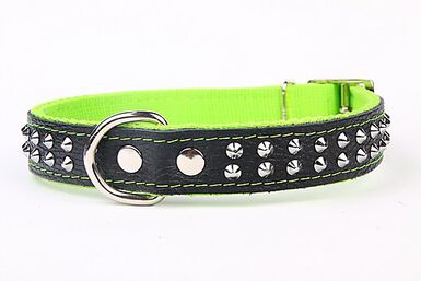 Yogipet - Collier Cuir Nylon Studs pour Chien - Vert