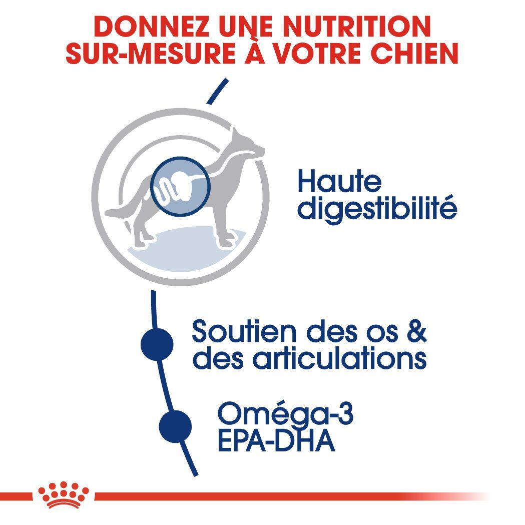 Royal Canin - Croquettes Maxi Adult pour Chien - 15Kg Image num&eacute;ro 4