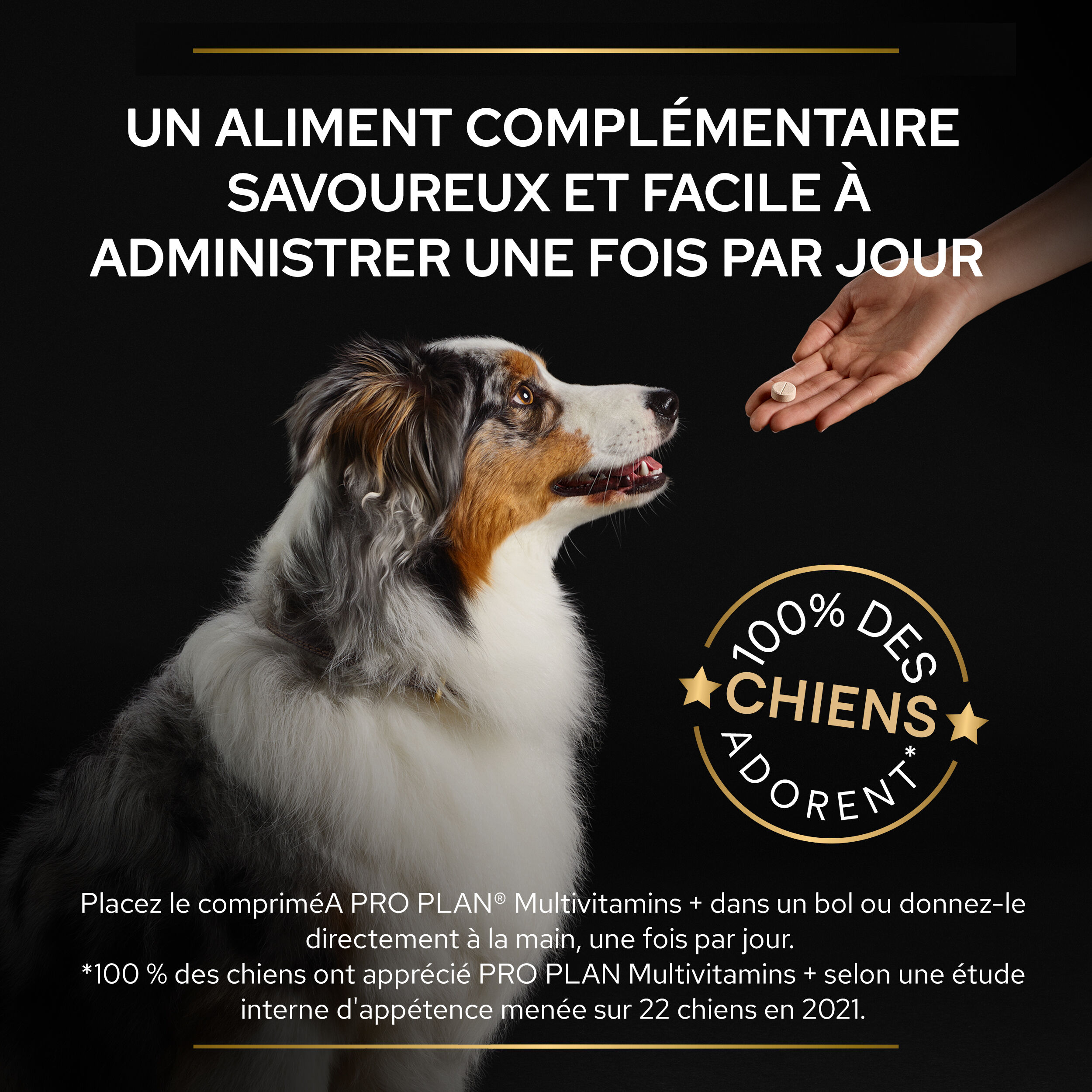 Pro Plan - Aliment Compl&eacute;mentaire en Comprim&eacute;s Multivitamins+ pour Chiens  - 67g Image num&eacute;ro 7