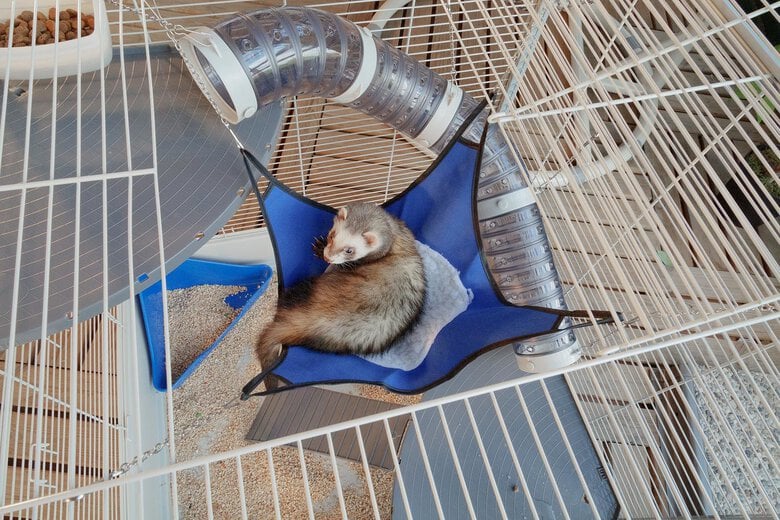 Ferplast - Cage XL pour Furet - 80x75x86,5cm Image numéro 6 Ferplast - Cage XL pour Furet - 80x75x86,5cm Image numéro 6