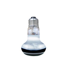 Arcadia - Spots Solar Basking 75 Watt - Réptiles