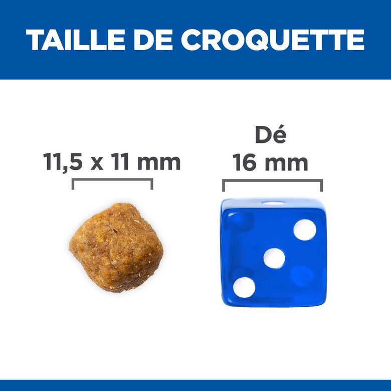 Hill's Science Plan - Adult Croquettes Pour Chien A L'agneau Et Riz  - 12kg Image numéro 5 Hill's Science Plan - Adult Croquettes Pour Chien A L'agneau Et Riz  - 12kg Image numéro 5