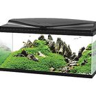 Ciano - Aquarium 80 LED - Noir - 80X30X41,5CM image number null