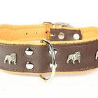 Yogipet - Collier Super Bulldog Cuir T55 45/53cm pour Chien - Marron image number null