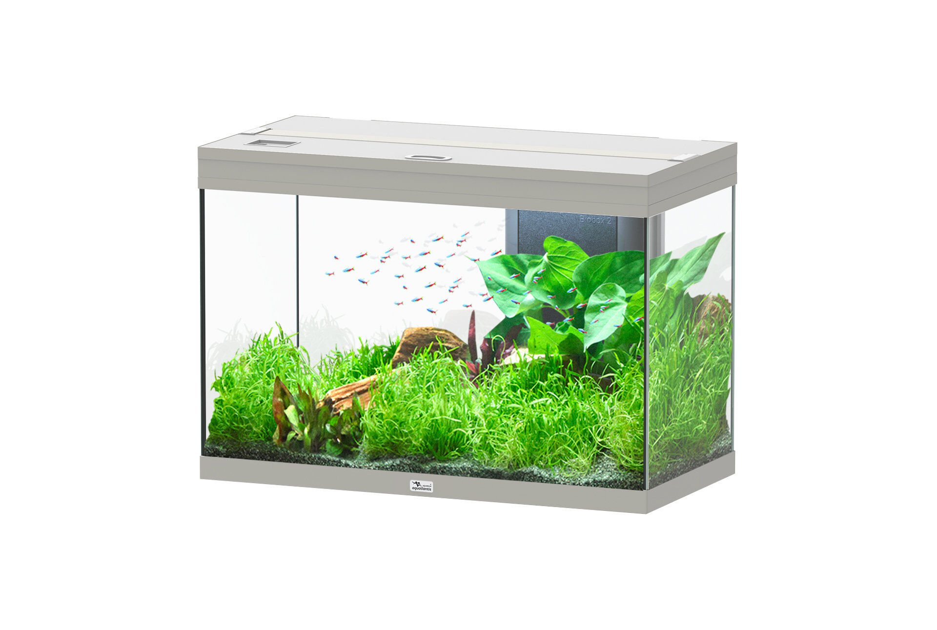 Aquatlantis - Aquarium SPLENDID ULTRA 80 LED RGBW BIOBOX Inox - 146L Image num&eacute;ro 1