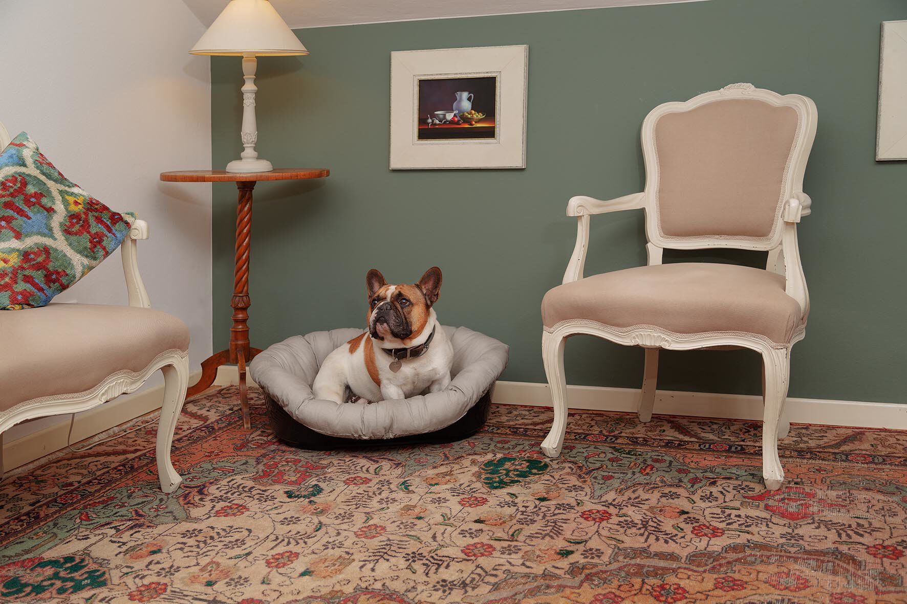 Ferplast - Sofa 6 Tourterel pour Chiens Image num&eacute;ro 4