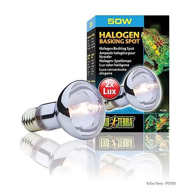 Exo Terra - Ampoule Halogène Basking Spot - 50W