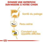 Royal Canin - Croquettes Westie pour Chien Adulte - 3Kg image number null