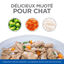 Hill’s Science Plan - Healthy Cuisine Mijoté Pour Chaton Au Poulet  - 12x80g Indicateur image numéro 8