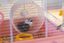 Ferplast - Cage Criceti 9 Princesse pour Hamsters Indicateur image numéro 1