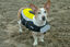 Alcott - Gilet de Sauvetage Life Jacket Neon Jaune pour Chien - L Indicateur image numéro 4