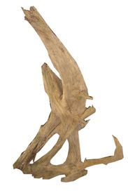 Aquavie - Décoration Racine Malaisie pour Aquarium - S/M