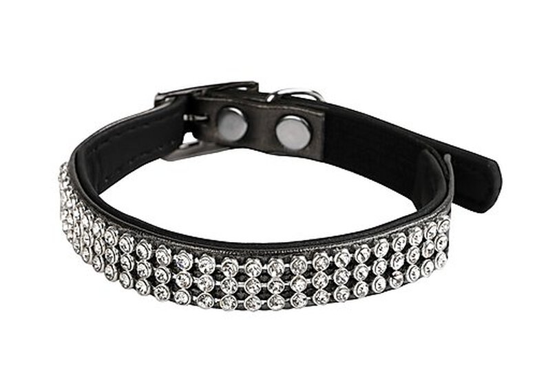 Animalis - Collier Diam's pour Chat - Noir Image numéro 1 Animalis - Collier Diam's pour Chat - Noir Image numéro 1