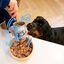 Edgard & Cooper - Boîte au Saumon et Truite pour Chien - 400g Indicateur image numéro 3