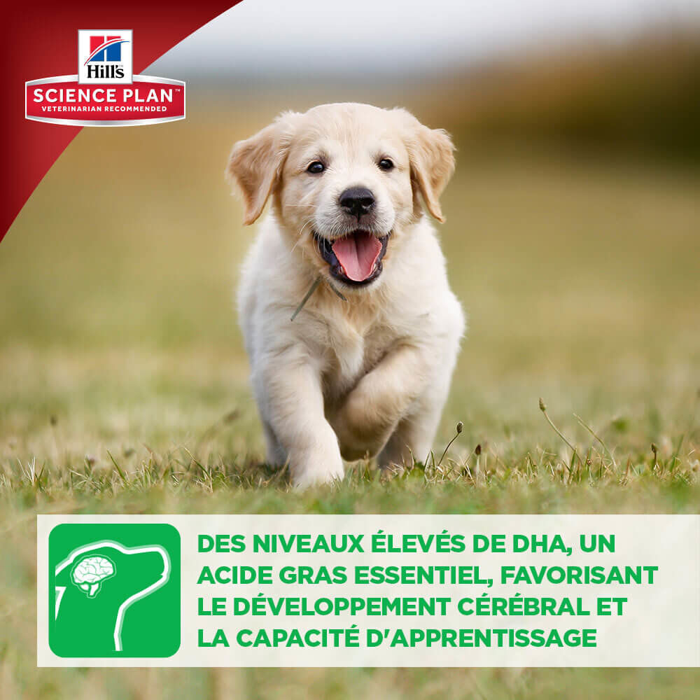 Hill's Science Plan - Croquettes Healthy Development Medium Puppy Poulet pour Chiot - 3Kg Image num&eacute;ro 5