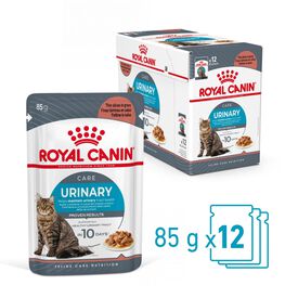 Royal Canin - Sachets Urinary Care en Sauce pour Chat - 12x85g