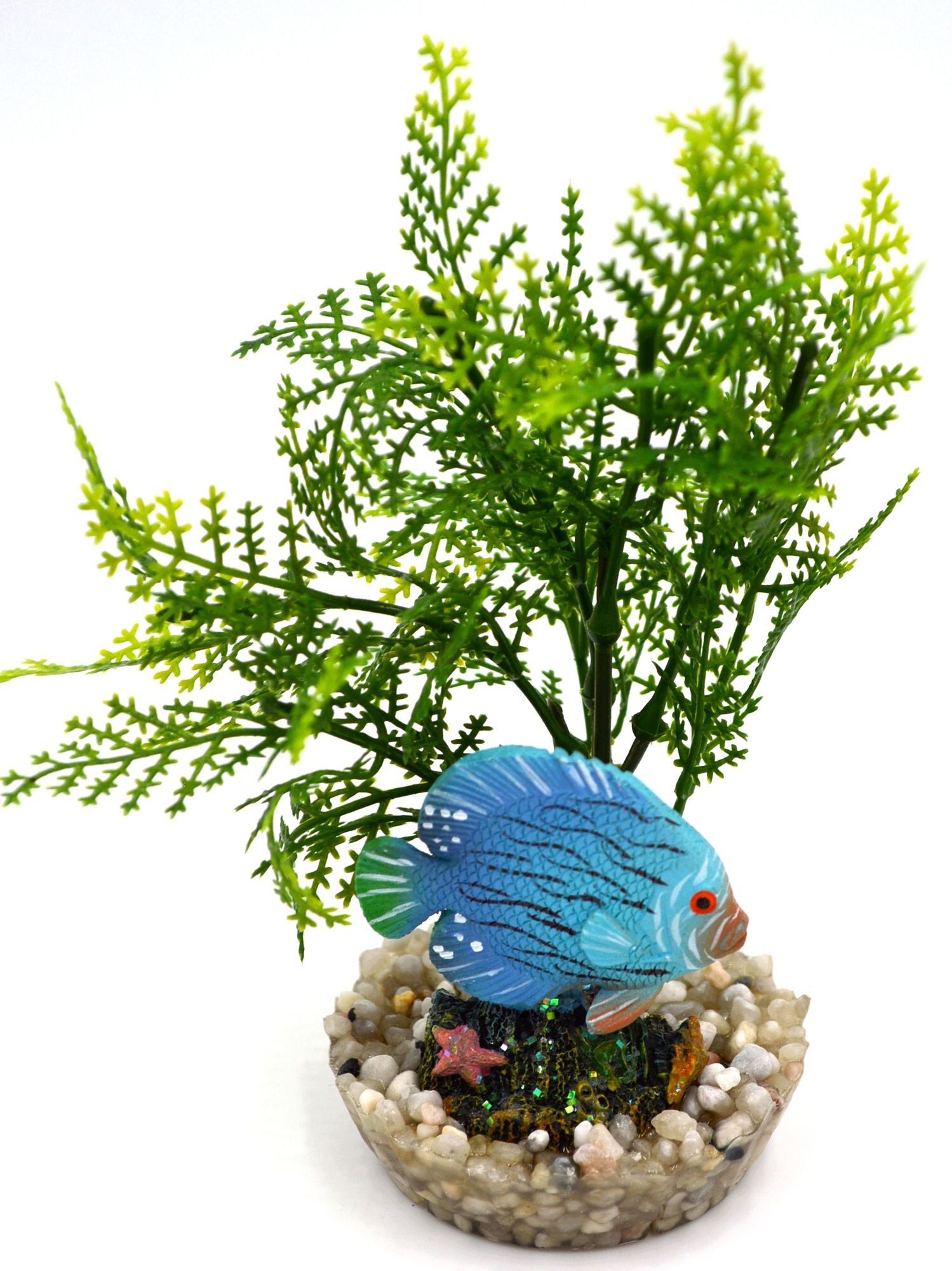 Labeo - Plante de D&eacute;coration Poisson d'eau Douce pour Aquarium Image num&eacute;ro 3