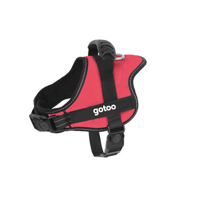 Gotoo - Harnais Essentials Rouge pour Chien