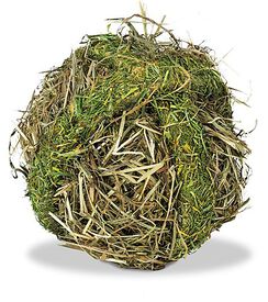 Rongis - BOULE DE FOIN pour rongeurs - 125g