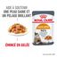 Royal Canin - Sachets Hair&Skin Gelée pour Chat - 12x85g Indicateur image numéro 1