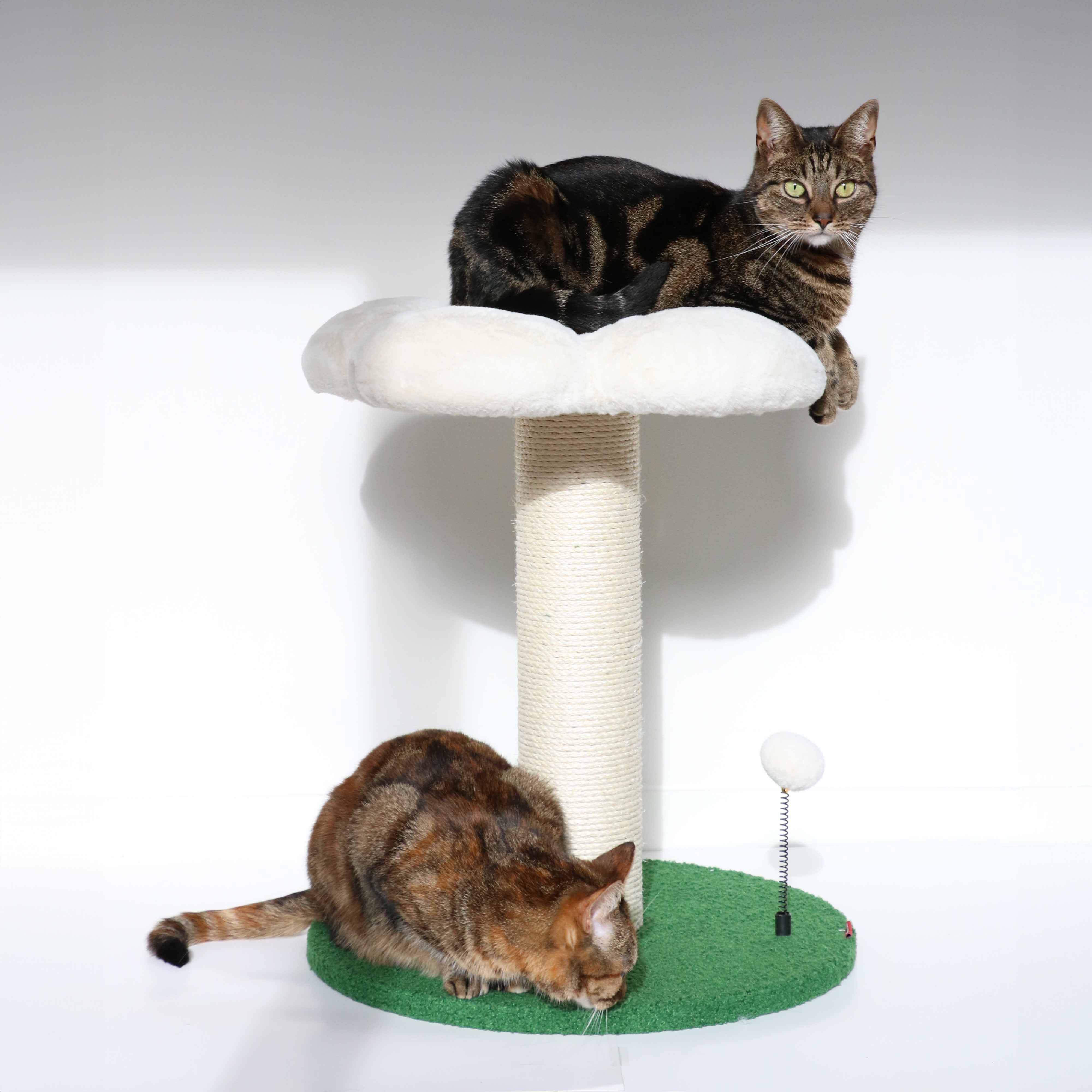 Coockoo - Arbre &agrave; Chat Flower Power pour Chats - 49cm Image num&eacute;ro 2