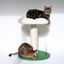 Coockoo - Arbre à Chat Flower Power pour Chats - 49cm Indicateur image numéro 2