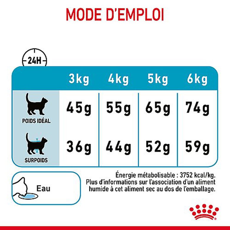 Royal Canin - Croquettes Urinary Care pour Chat - 4Kg image number null