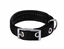 Animalis - Collier Basic Confort Noir pour Chien - 25mm et 65cm Indicateur image num&eacute;ro 1
